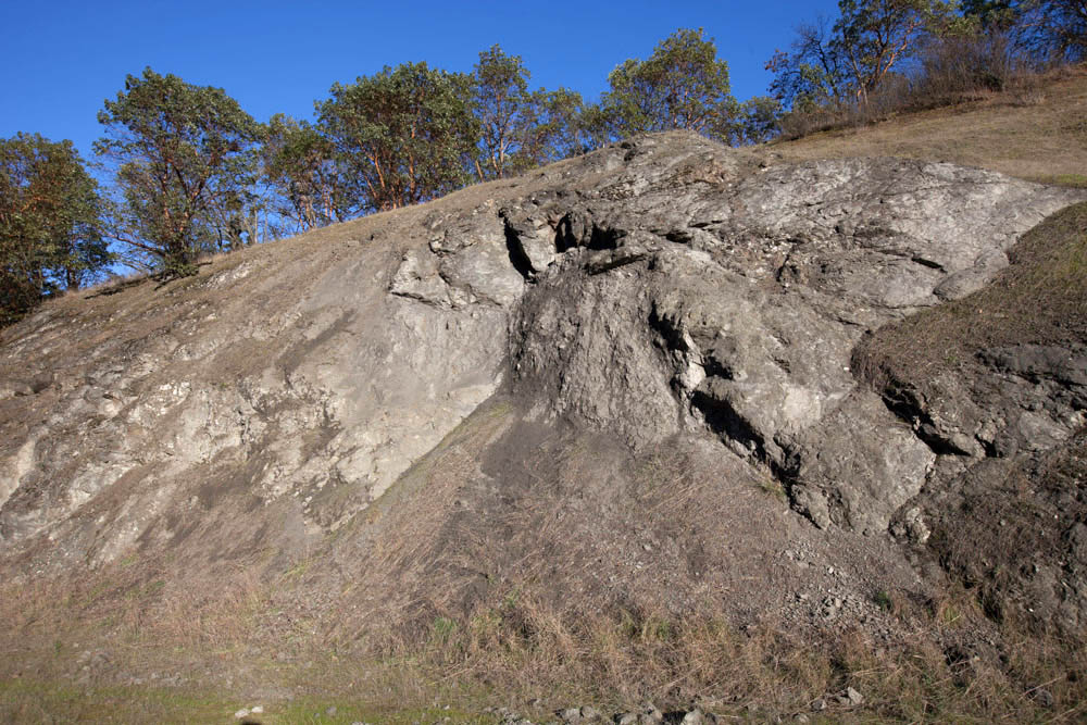 mudstone-matrix-melange-or-geology-pics