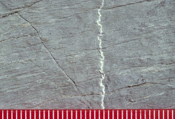 slaty-cleavage-and-bedding-in-sandstone-geology-pics