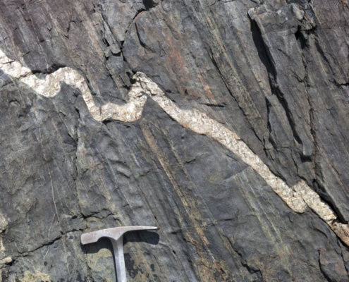 Folded pegmatite dike in slate