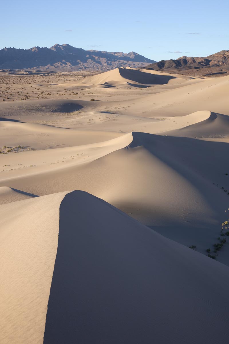 Sand Dunes, Mojave Desert (vertical). – Geology Pics