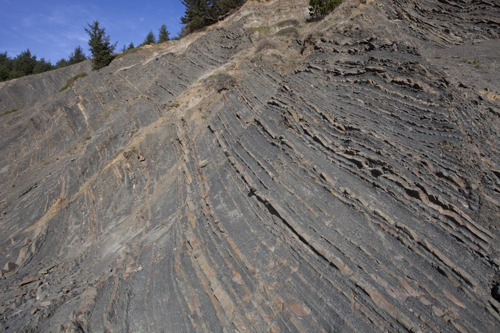 Turbidite deposits on Oregon Coast. – Geology Pics