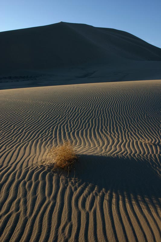 Wind ripples and sand dunes (vertical) – Geology Pics