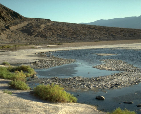 Badwater Spring and fault scarp