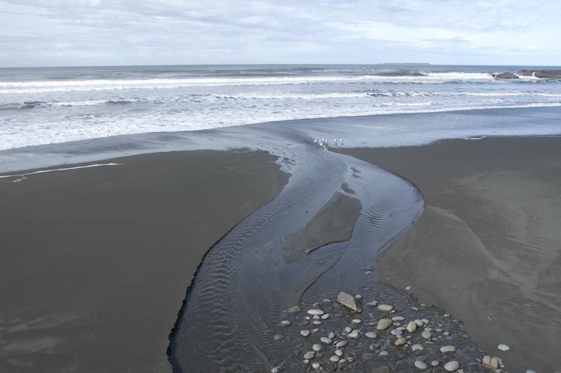 Beach and Pacific Ocean, Washington – Geology Pics