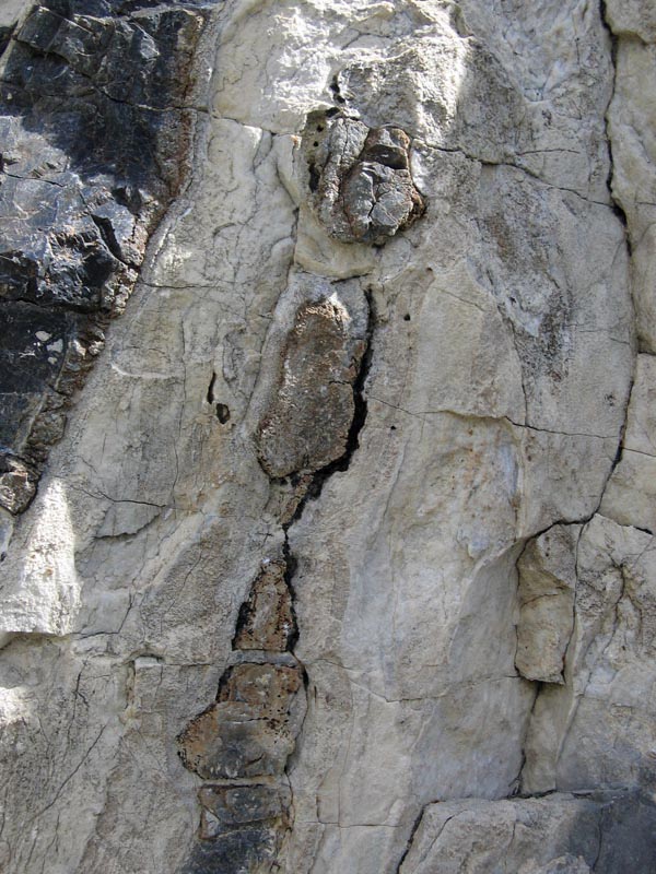 Boudinage of chert in limestone (vertical). – Geology Pics