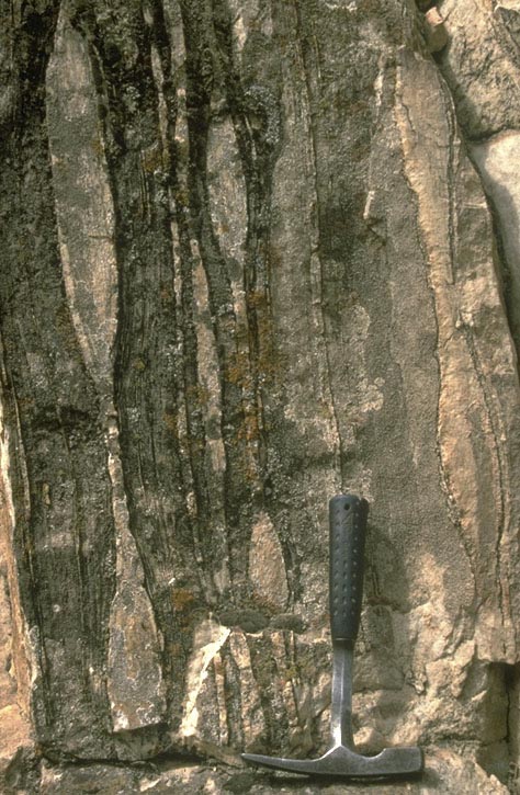 Boudinage in marble (vertical). Geology Pics