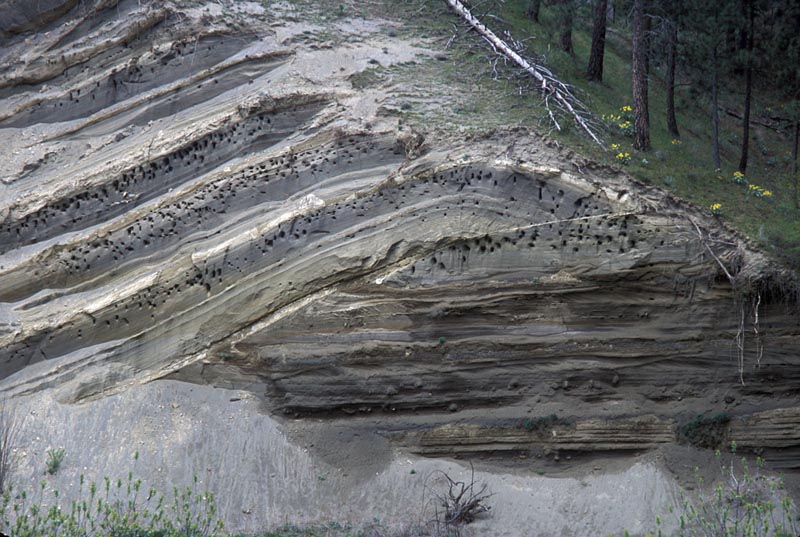 thrust-fault-and-fold-geology-pics