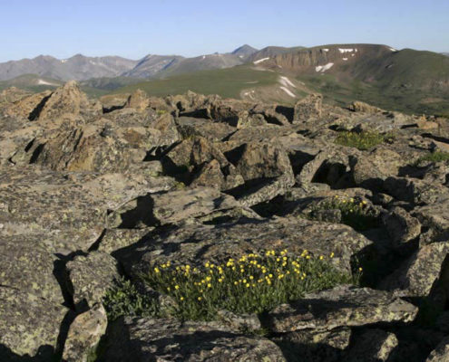 Talus produced by frost-wedging, Colorado.