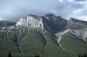 Avalanche tracks