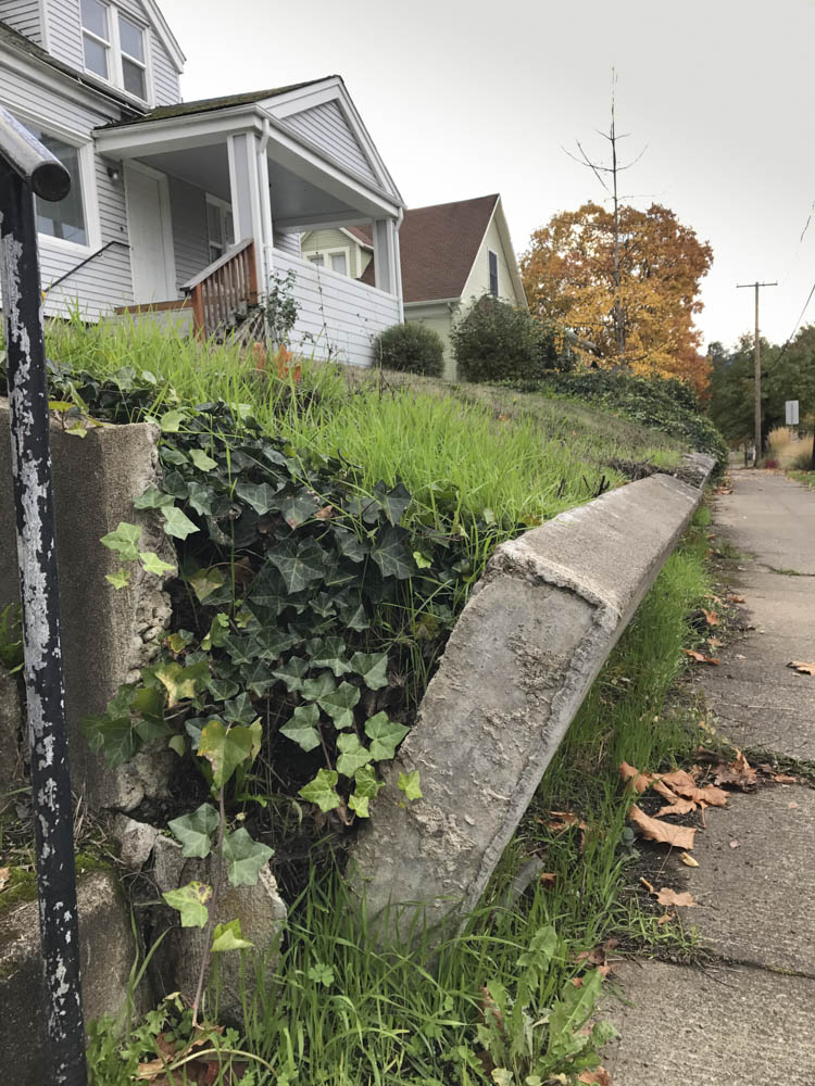 effects-of-soil-creep-oregon-vertical-geology-pics