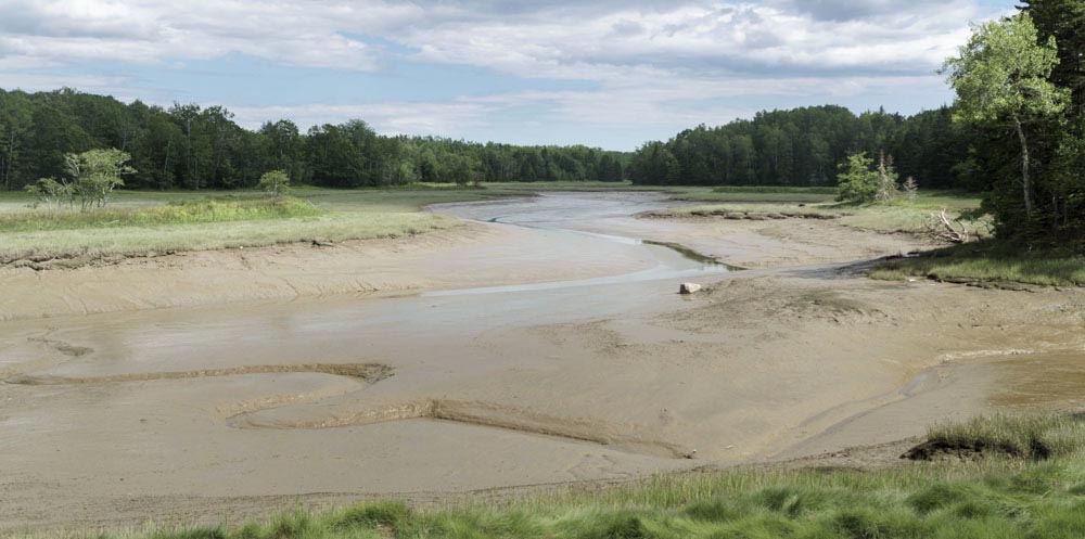 estuary-at-low-tide-maine-geology-pics