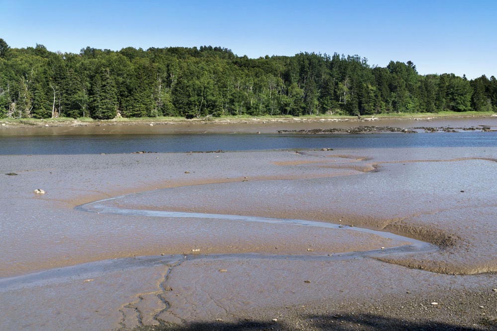 Tidal channels in estuary, Maine – Geology Pics