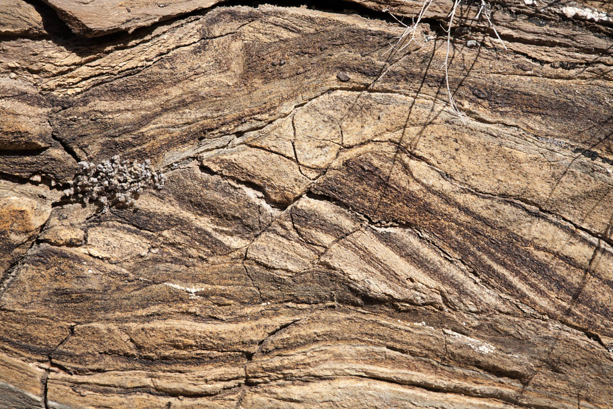 Contemporaneous Brittle And Ductile Deformation – Geology Pics