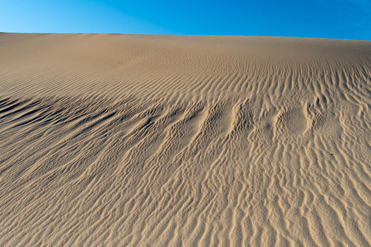 Wind ripples and dune, D Valley, CA – Geology Pics