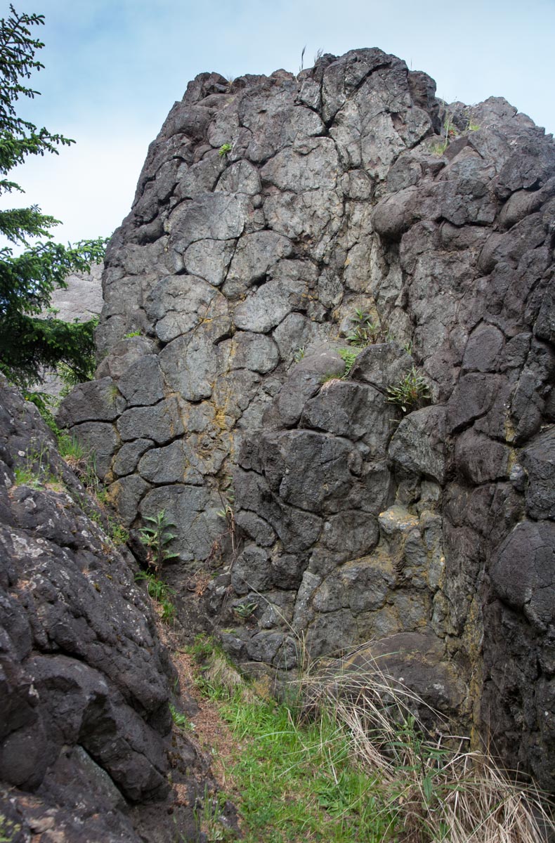 Pillow basalt of Siletzia (Vertical) – Geology Pics