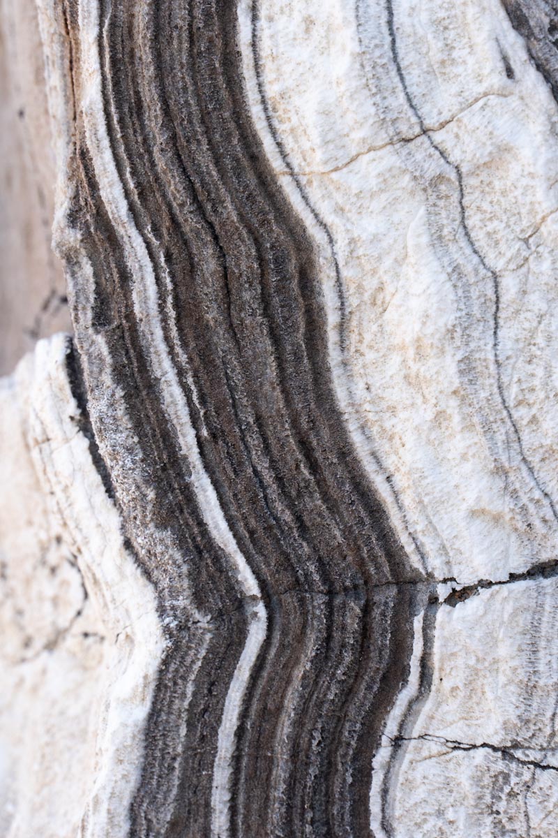 Banded Calcite Vertical Geology Pics