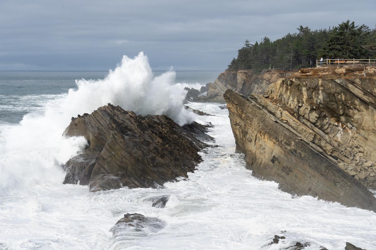 Uplifted marine terrace, Oregon – Geology Pics